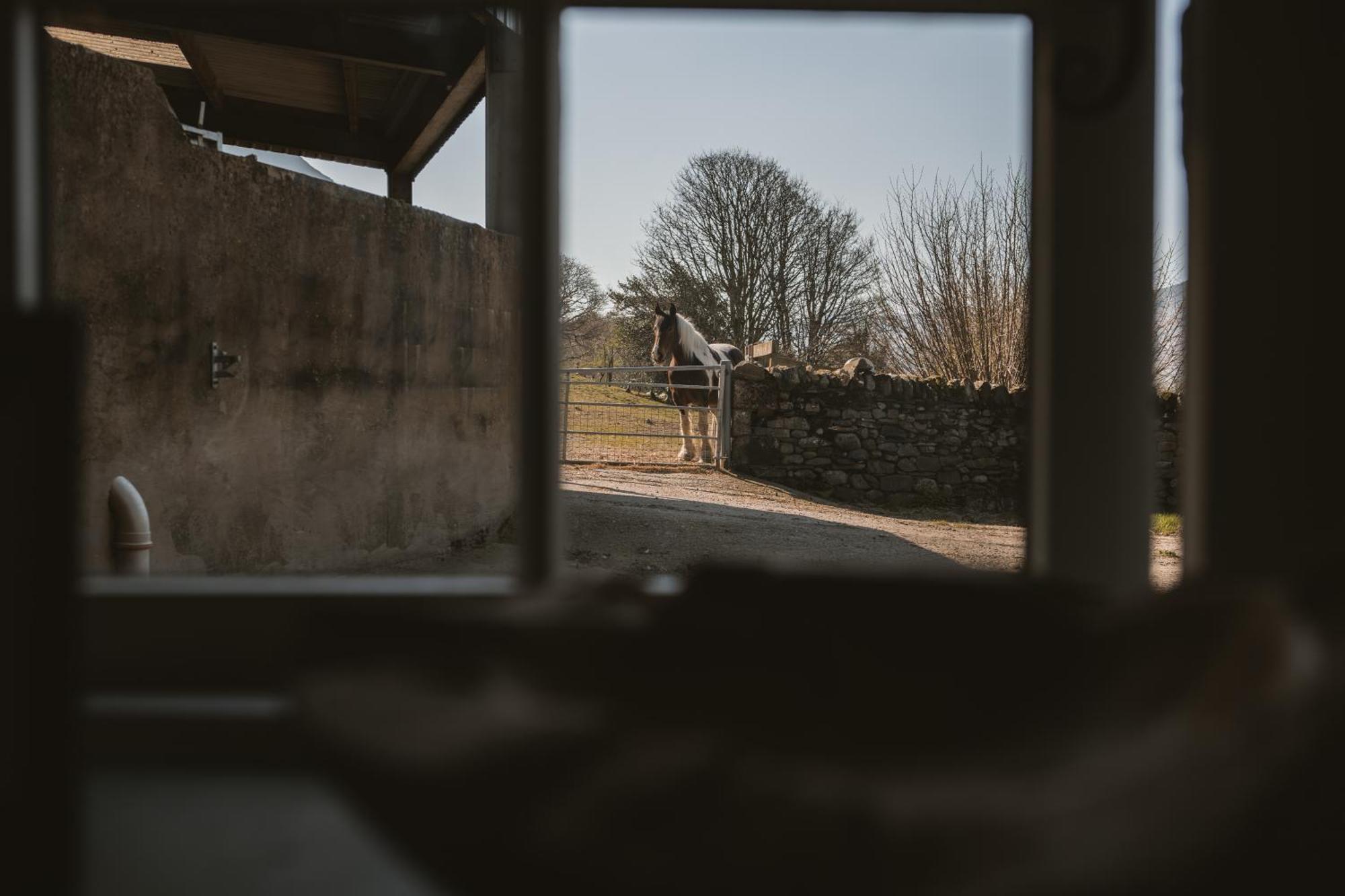 Highside Farm Bassenthwaite Exterior foto